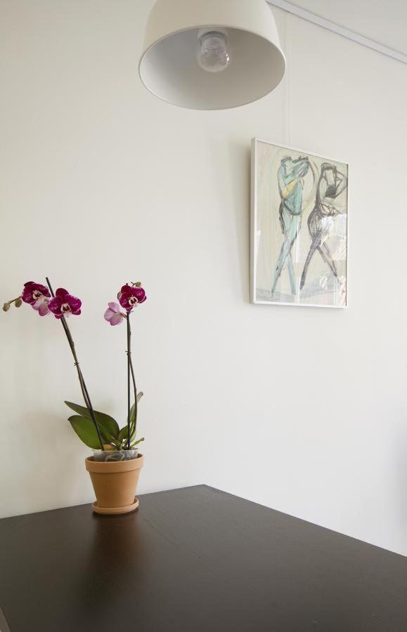 Tweede Laurierdwarsstraat Apartment Amsterdam Exteriér fotografie